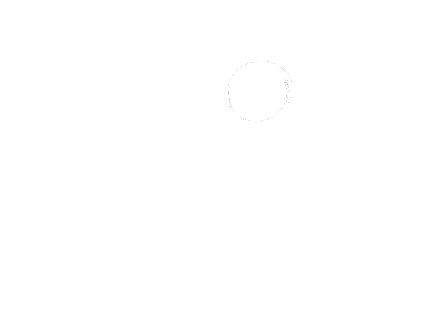 SafeNest-Logo-ALL-White